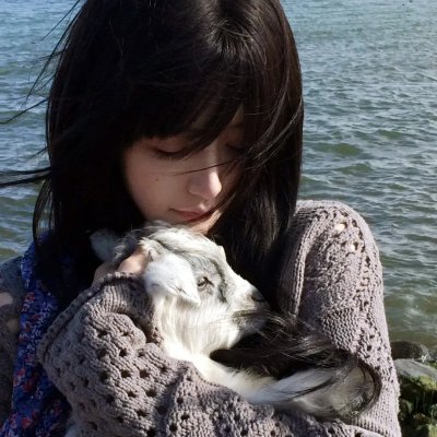 天降锦鲤旺全家